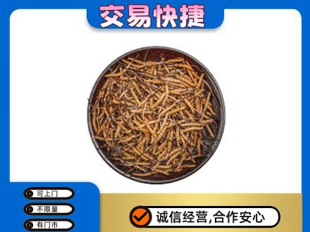 徐州丰县回收散虫草