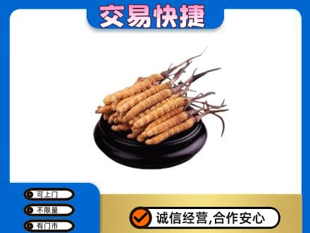 徐州丰县礼品回收散虫草.jpg